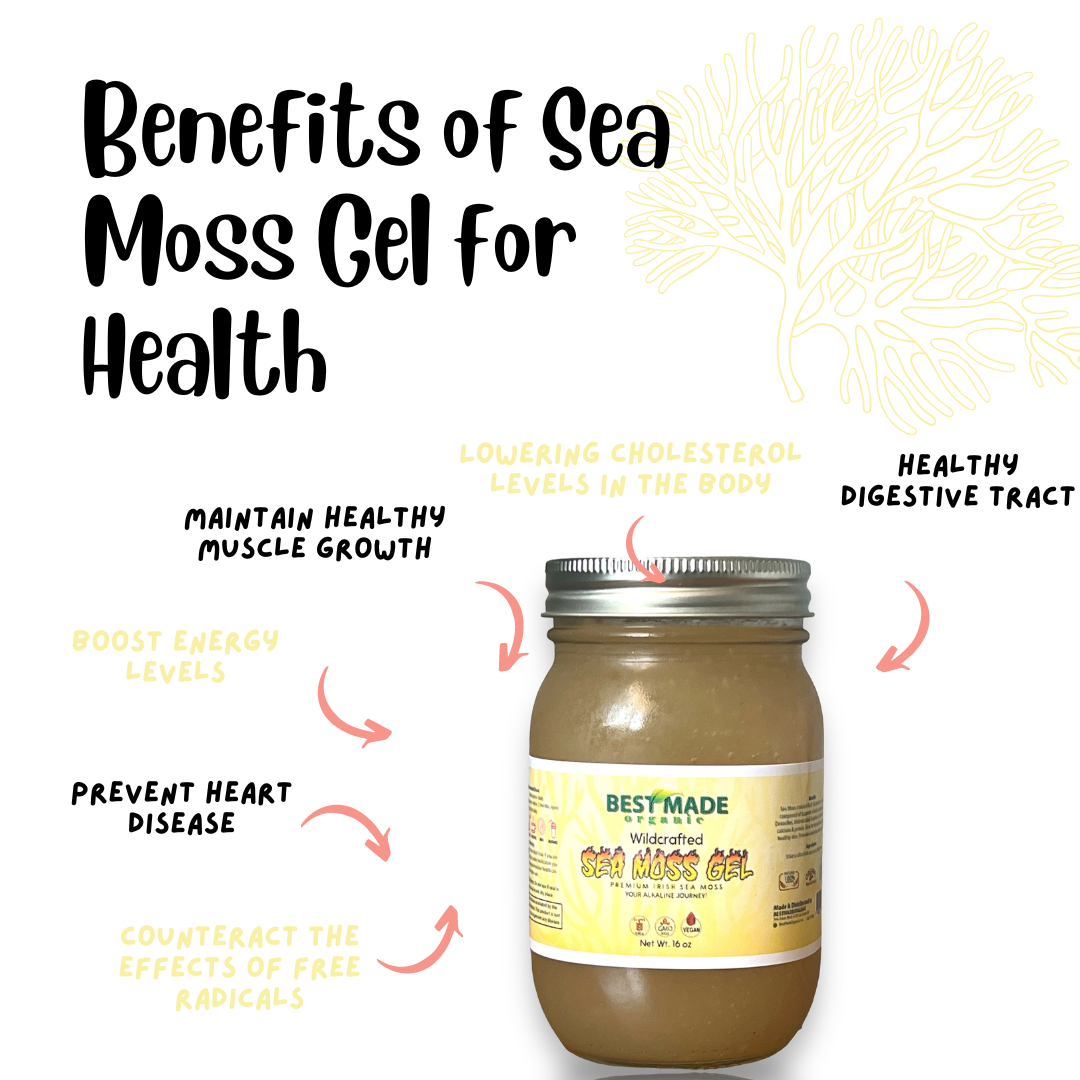 The Incredible Benefits of Sea Moss: A Natural Superfood