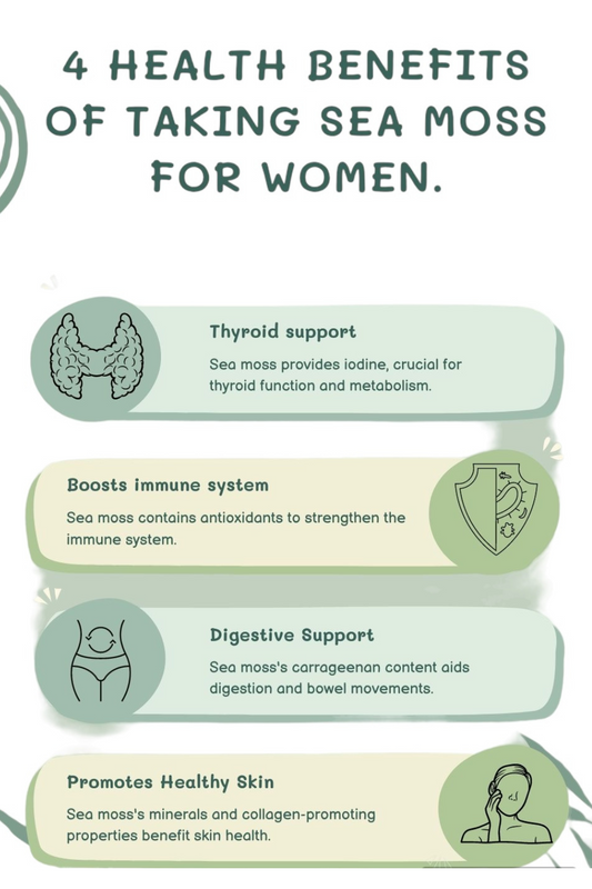 Sea moss Benefits for Women: Top Reasons to Incorporate into Your Routine