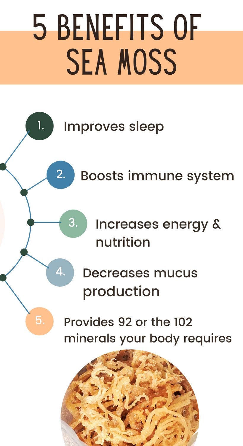 Top 5 Health Benefits of Sea Moss You Need to Know